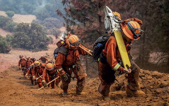 Οι δασοκομάντος θα είναι σε συνεχή συνεργασία με τα δασαρχεία και με την επιστημονική υποστήριξη των δασολόγων.
